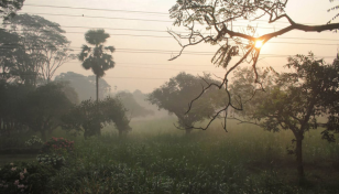 Mild cold wave may sweep at places over northern, western parts