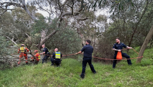 Nine dead after storms pound eastern Australia