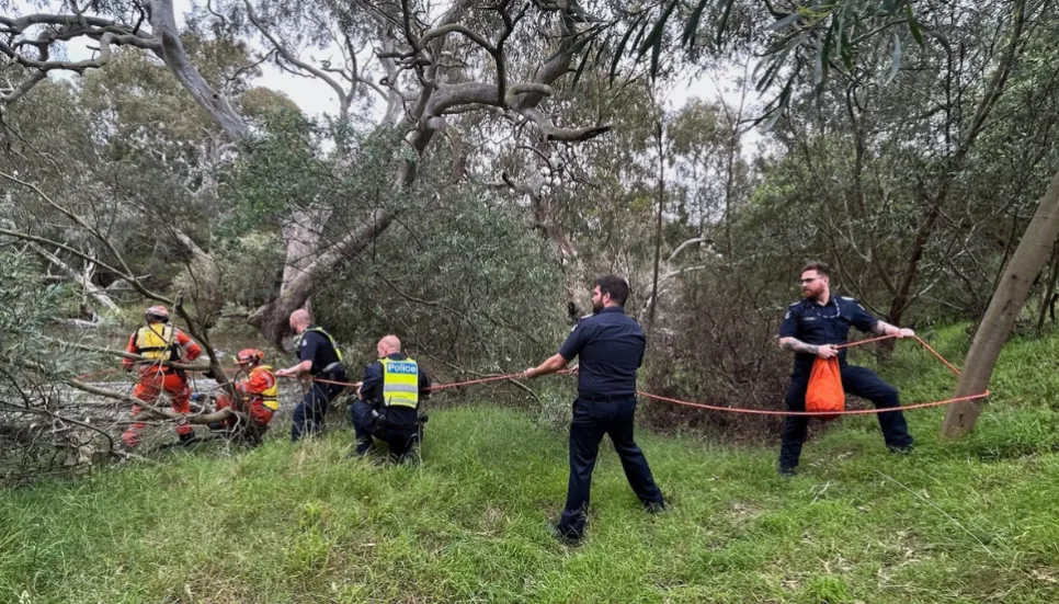 Nine dead after storms pound eastern Australia