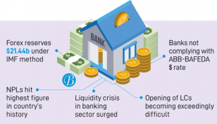 Default loans, $ crisis hound banking sector