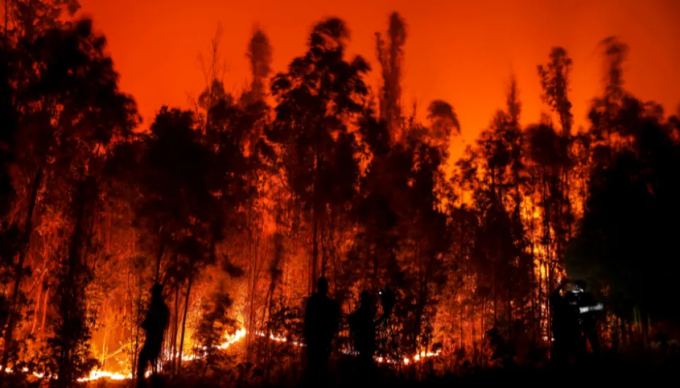 Death toll in Chile forest fires rises to 23