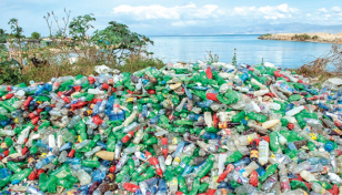 Single-use plastic will be reduced by 90%: Shahab Uddin 