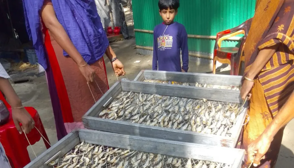 Drying rack method gains ground among dried fish producers