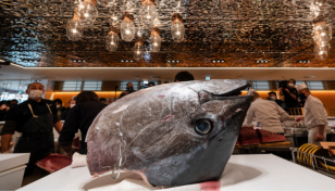 Japan tuna price soars past $270,000 at New Year auction