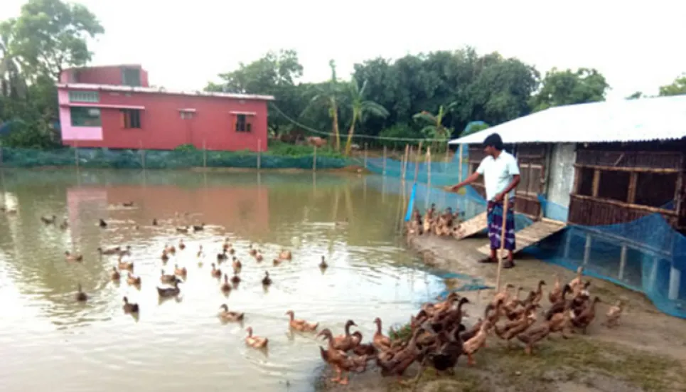 Integrated fish farming makes people financially solvent in Rajshahi