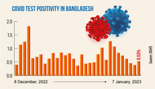 Covid: Daily infection rate at 0.53%