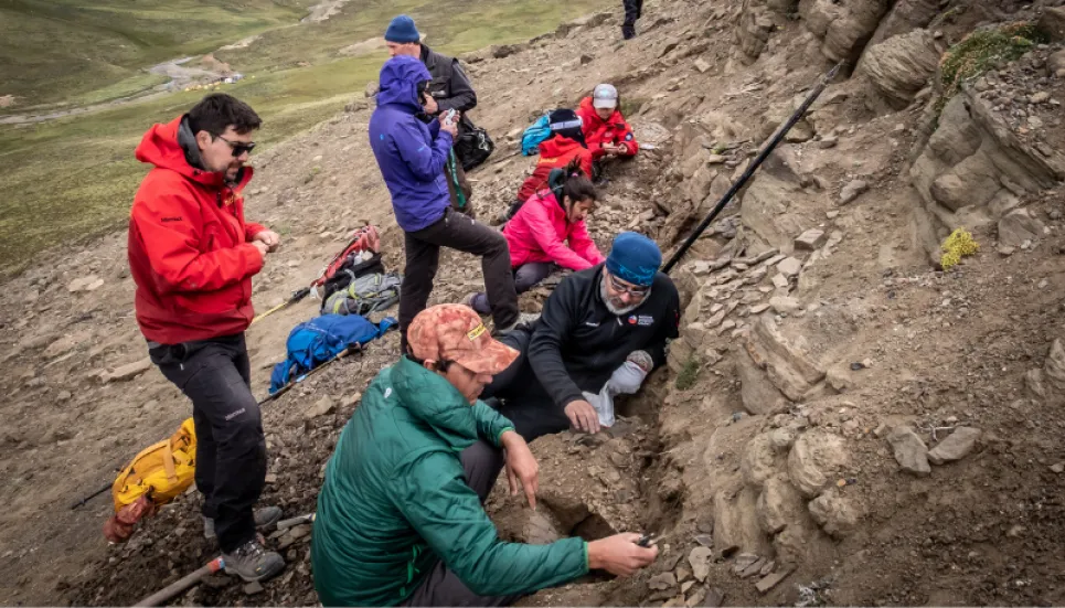 Four dinosaur species found in Chilean valley for first time