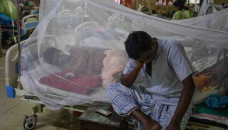 Dengue cases surge as 35 more hospitalised in 24hrs