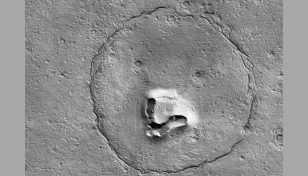 Is there life on Mars? Maybe, and it could have dropped its teddy
