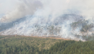 Canada wildfires have burned over 10m hectares this year