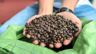 Chinese coffee producers eye Bangladesh as new export destination
