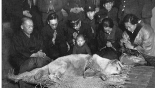 Hachiko: The world's most loyal dog turns 100
