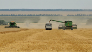 WFP believes grain deal can be renewed