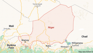 Gunmen kill 12 in Niger fields