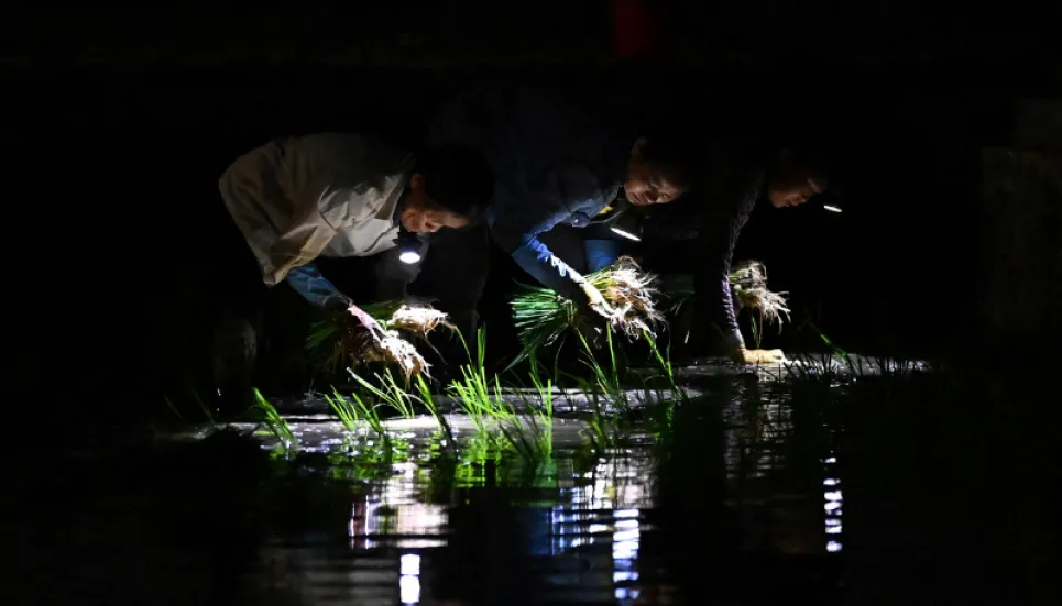 Vietnam farmers planting in the dark as heatwave looms