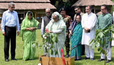 Plant trees to shield Bangladesh from climate change: PM
