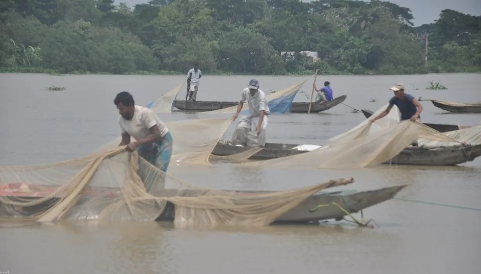 Indigenous fishes release record eggs in Halda