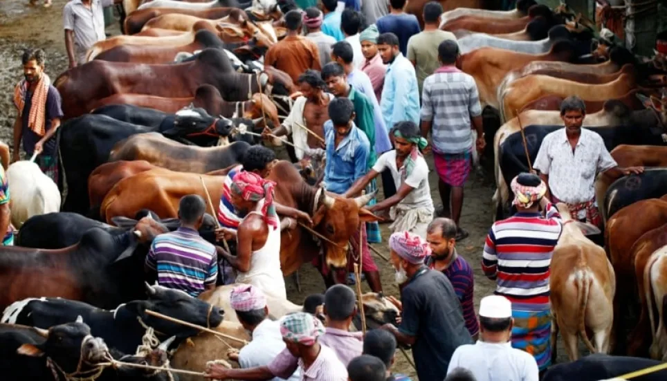 Govt issues instructions on cattle markets