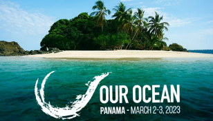 Ocean conference participants pledge $19 billion