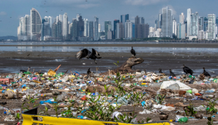 Rise in ocean plastic pollution unprecedented since 2005
