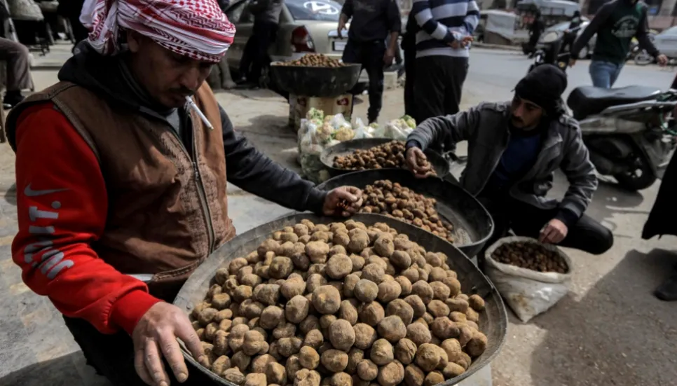 Three truffle hunters killed, 26 kidnapped in north Syria