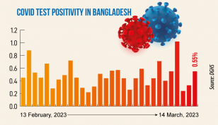 Covid: Daily infection rate at 0.55%