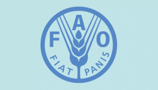 FAO launches MBWin to boost farmers’ access to finance