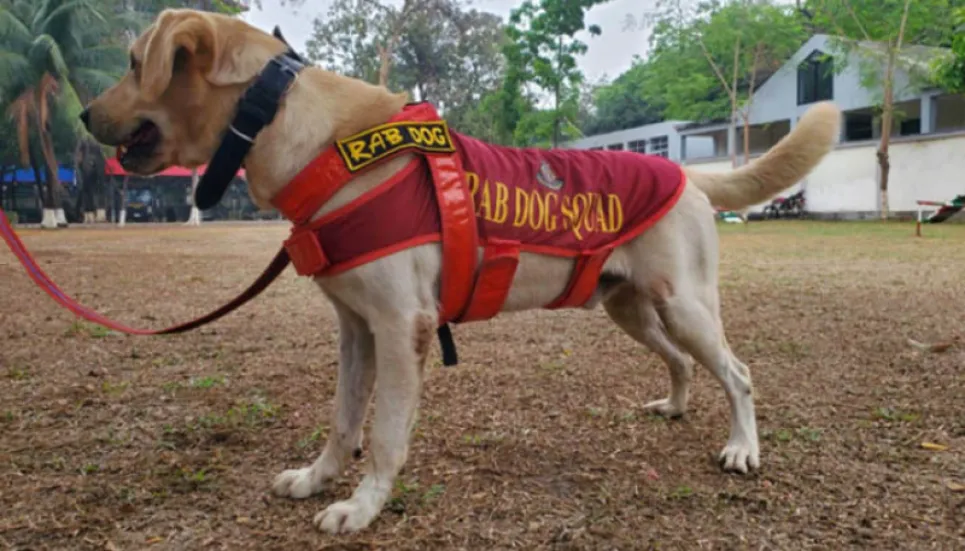 Heroic dog to receive ‘RAB Director General’ award 