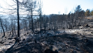 Early wildfire in Spain rages out of control