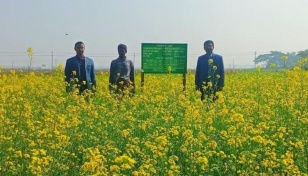 Mustard cultivation exceeds target in Khulna