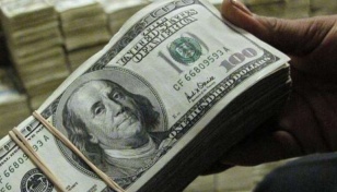 Forex reserves hit $30b riding on remittance