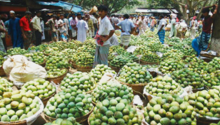 Govt to raise mango output, export by 5%: Razzaque