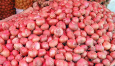 Govt may allow onion import soon