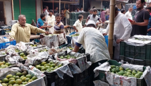 Mango growers, traders in Chuadanga disheartened as prices plummet