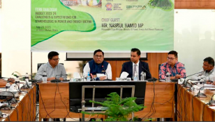 Efforts underway to ensure uninterrupted energy: Nasrul