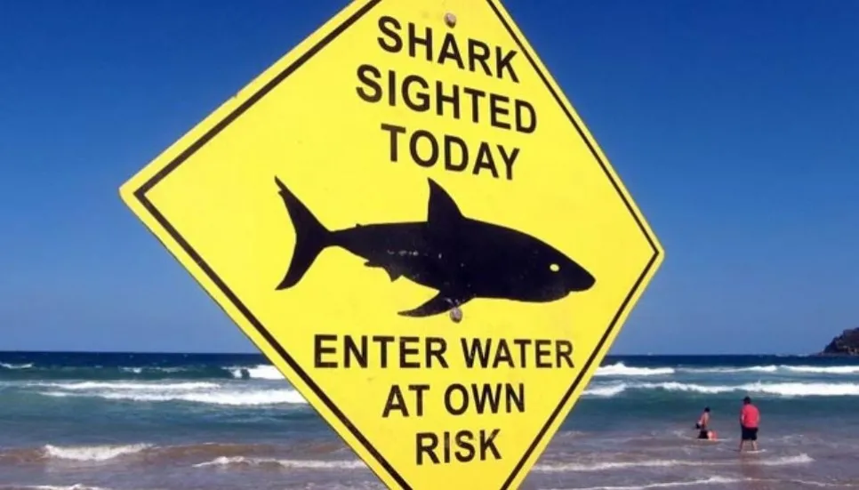 Australia police search for shark attack victim