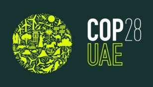 Health experts unify to demand fossil fuel phase-out at COP28