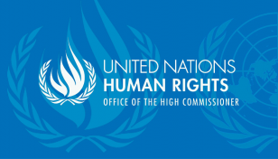 OHCHR statement not based on facts: Civil society