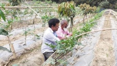 Modern technology becomes boon for farmers in Rajshahi