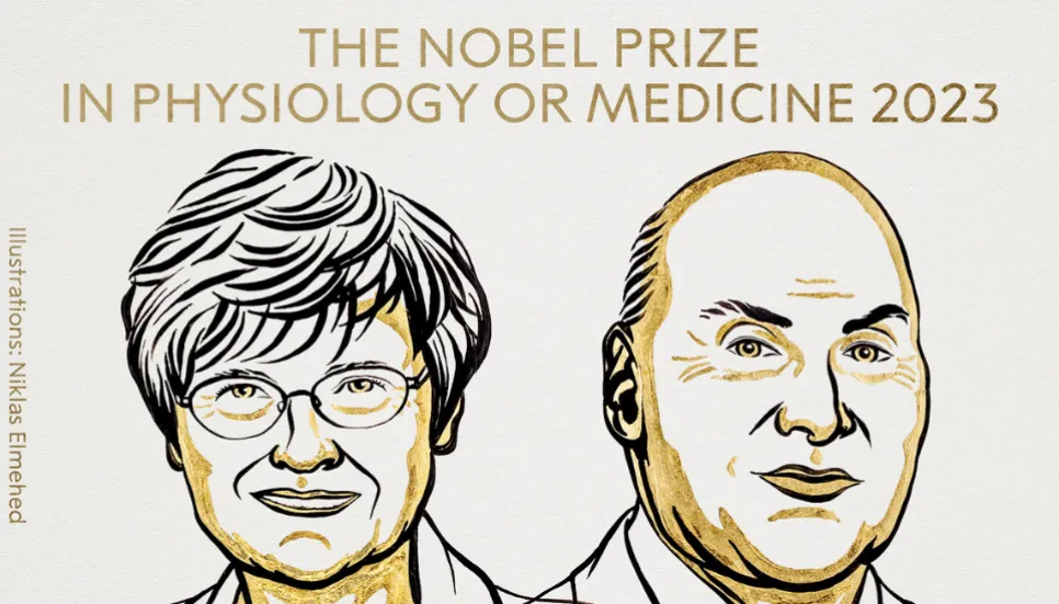 Kariko, Weissman win Nobel for mRNA Covid vaccines