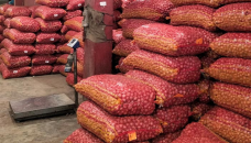 Govt to import 50,000 tonnes onion from India