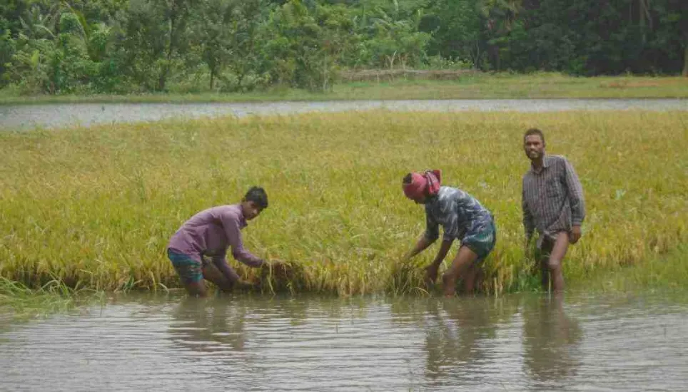 ICCB seeks climate-smart agricultural practices for Bangladesh