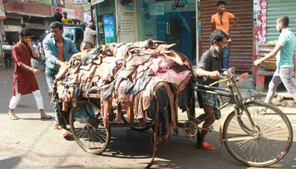 'Countrywide network needed for collecting, preserving raw hides'