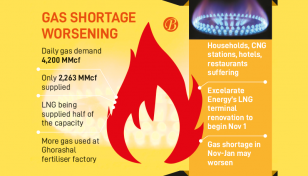 Gas shortage hits all consumers hard   