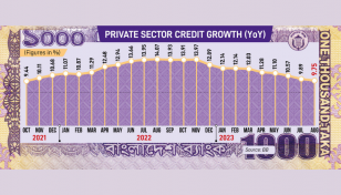 Private sector credit growth slips to 22-month low 