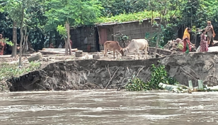 7000 families still stranded for Flood in Kurigram