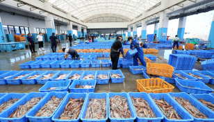 Japan fishermen, locals seek halt to Fukushima water release