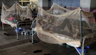 Dengue death toll crosses 700