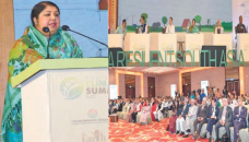 Find out innovative solution to tackle environmental risks: Speaker