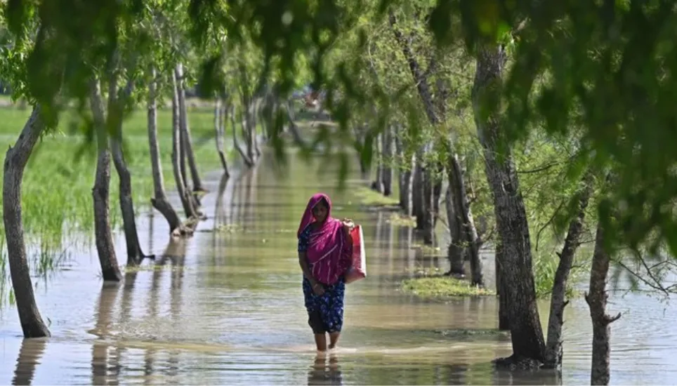 US to continue support for Bangladesh's climate efforts 